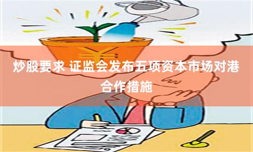 炒股要求 证监会发布五项资本市场对港合作措施