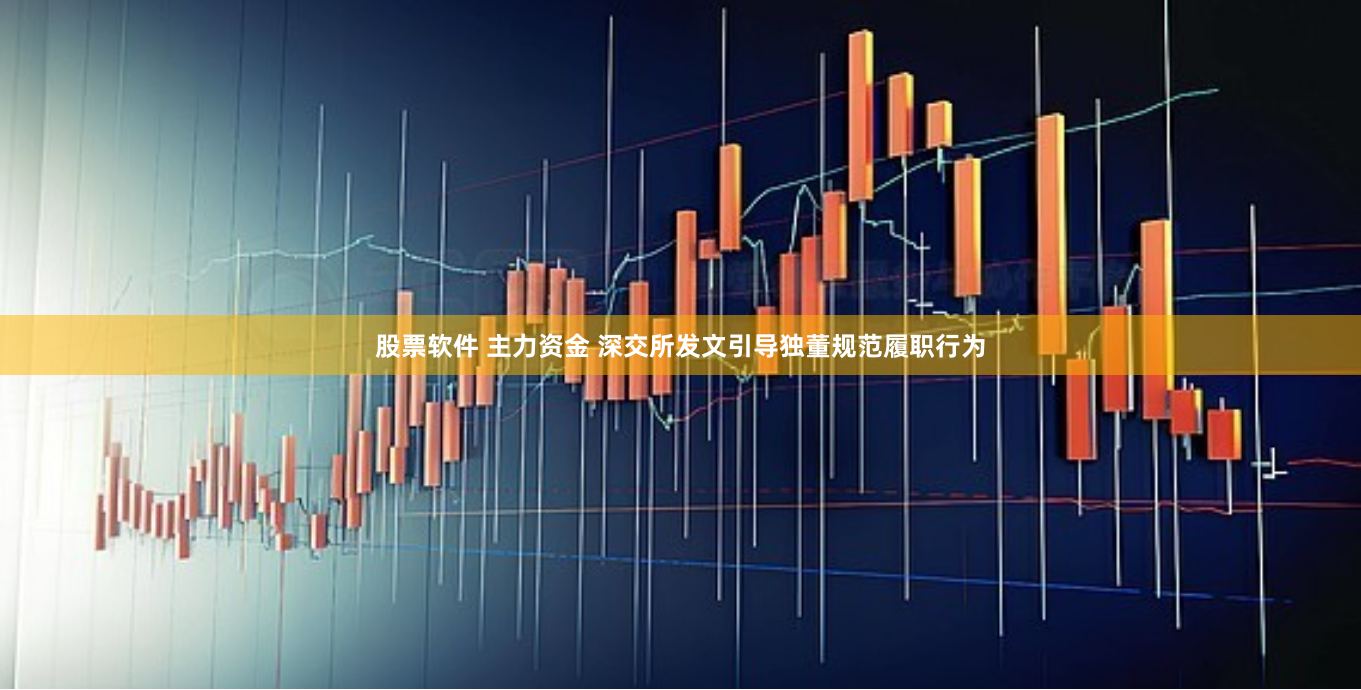 股票软件 主力资金 深交所发文引导独董规范履职行为